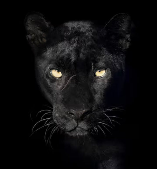 PURRR SEDUCTION ATTRACTION BATH